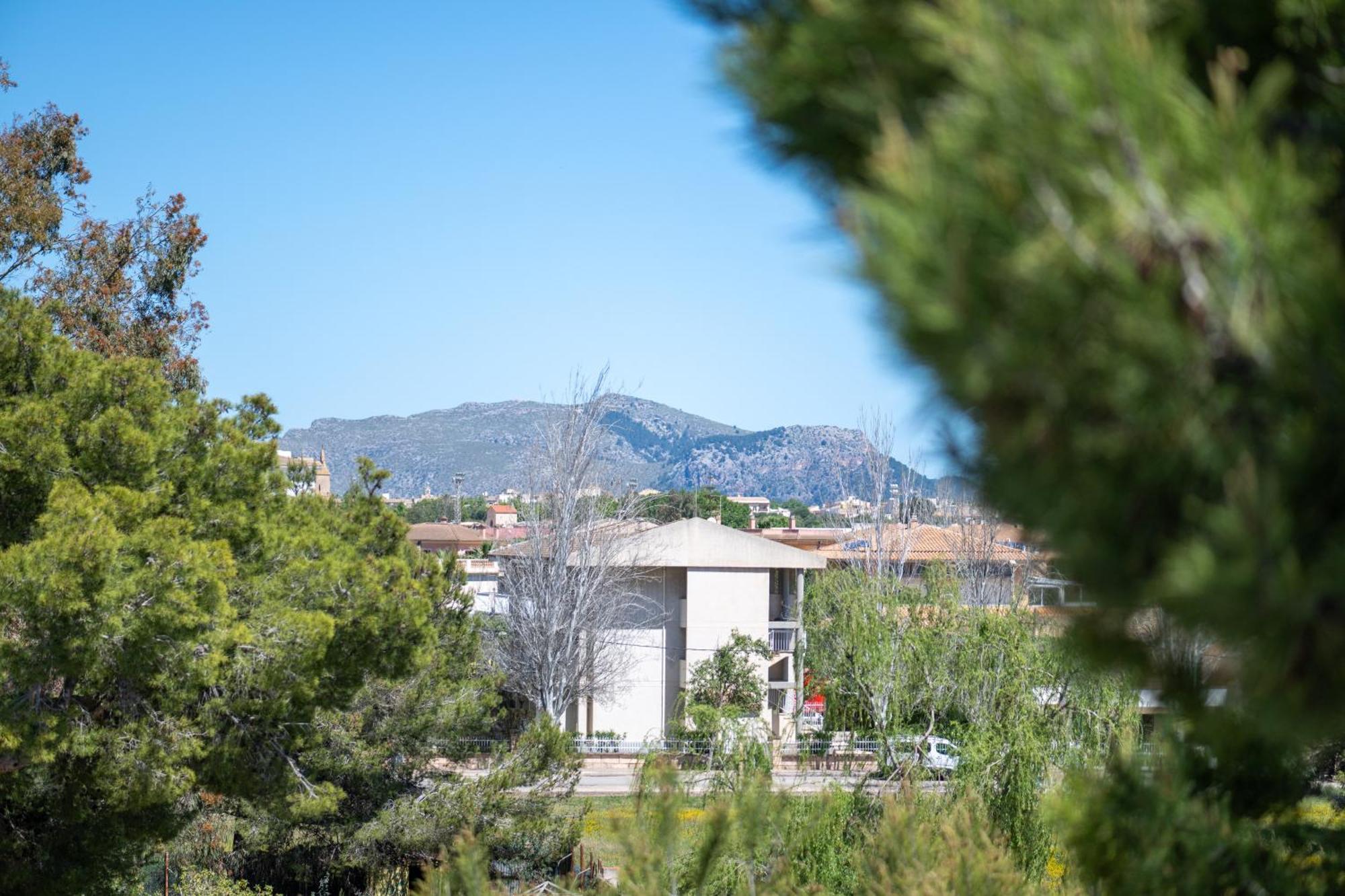 Apartamento Minerva Alcúdia Exteriér fotografie